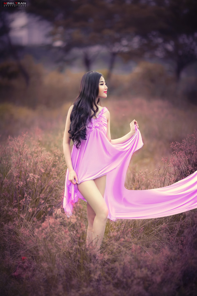 霸王花3
